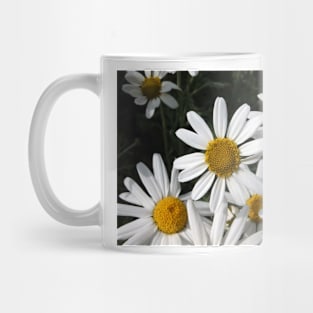 Giant Daisies Mug